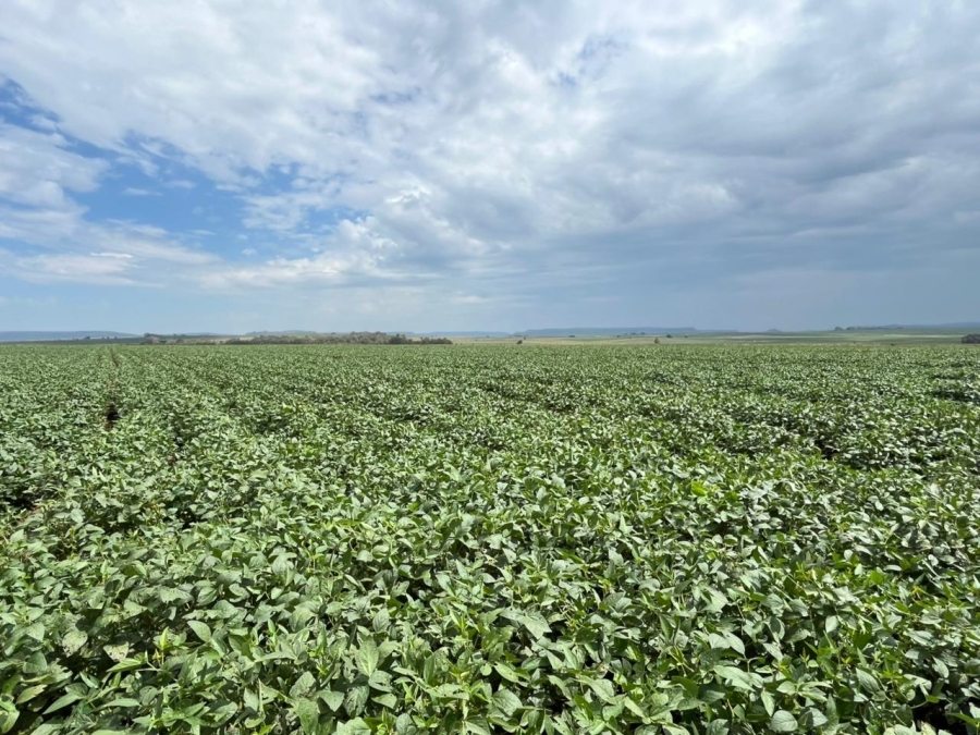 6 Bedroom Property for Sale in Ladybrand Rural Free State